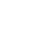 icon1