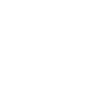icon2